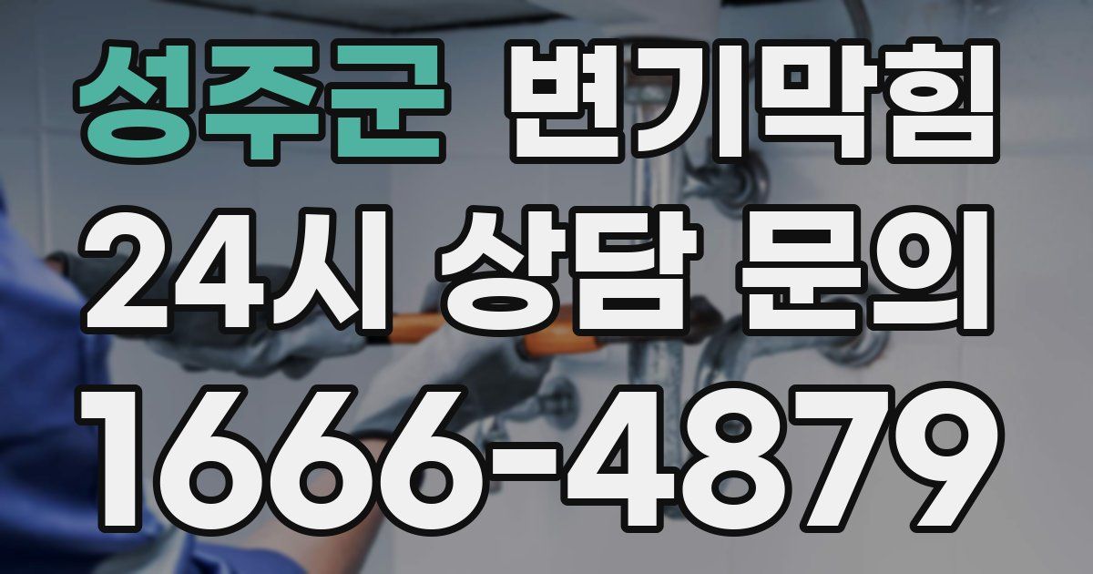 성주군 변기