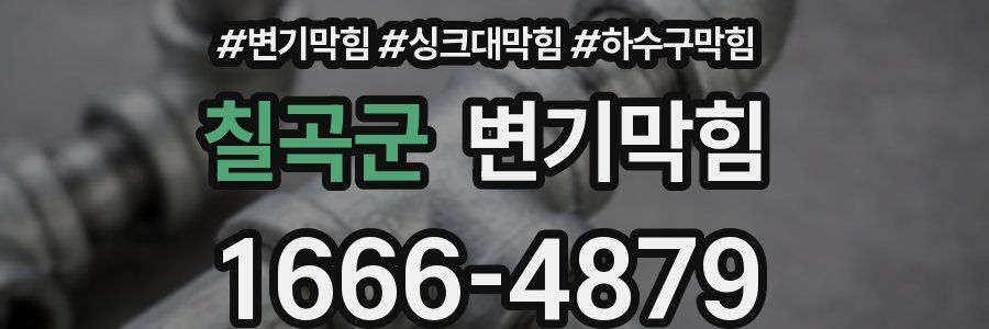 변기막힘