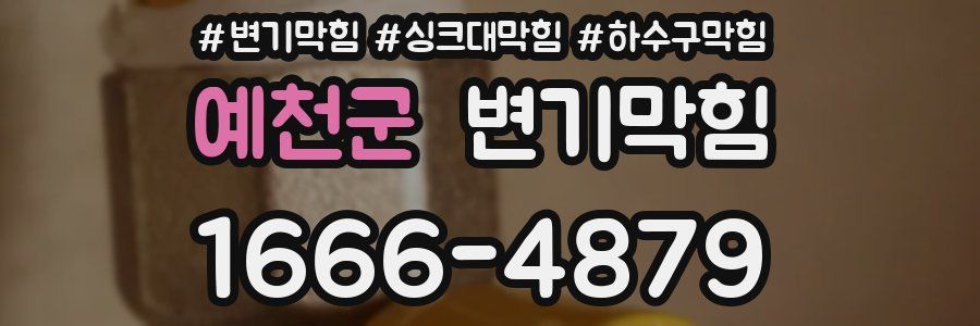 변기막힘