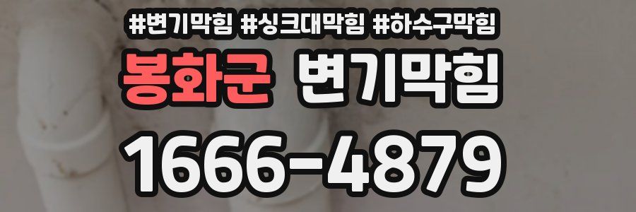 변기막힘
