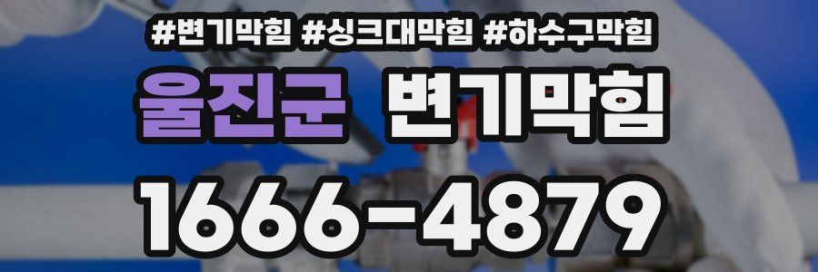 변기막힘