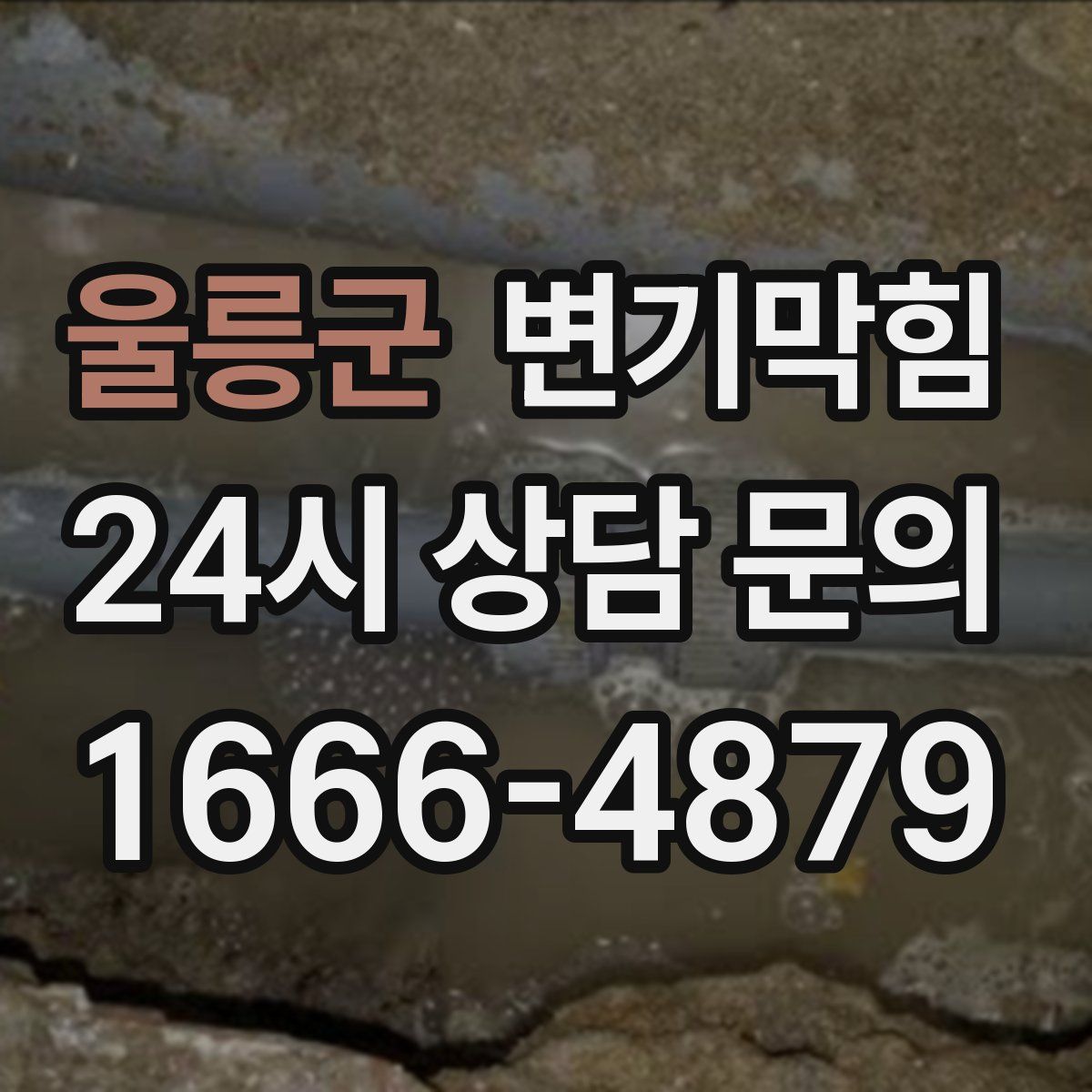 울릉군 변기막힘