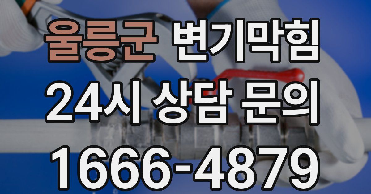 울릉군 변기