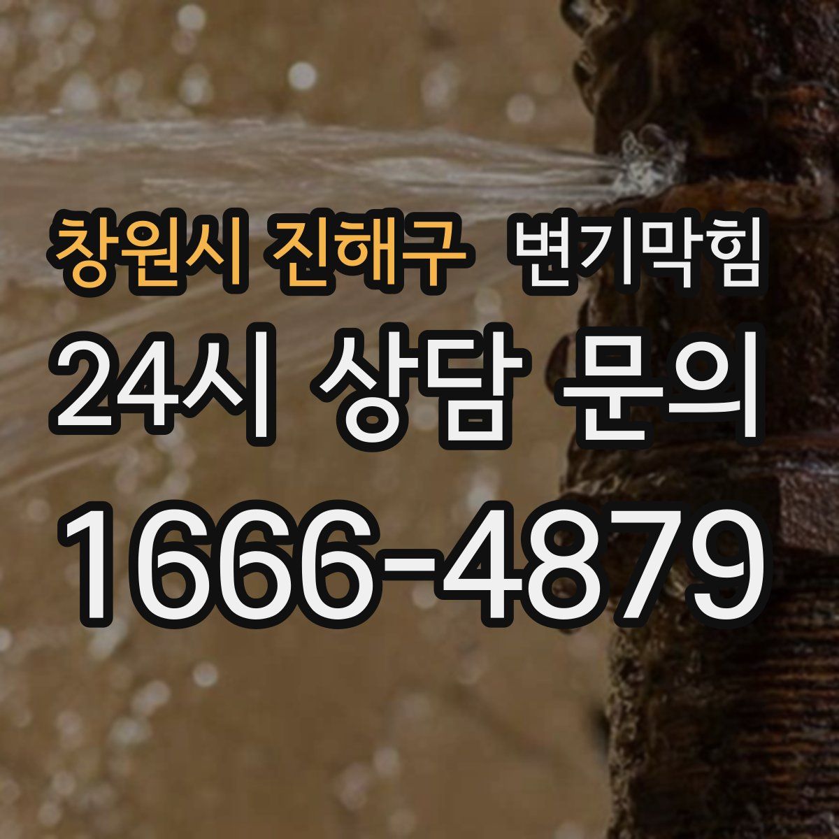창원시 진해구 변기막힘