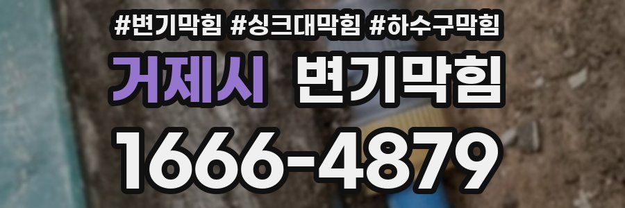 변기막힘