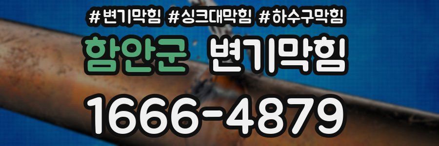 변기막힘