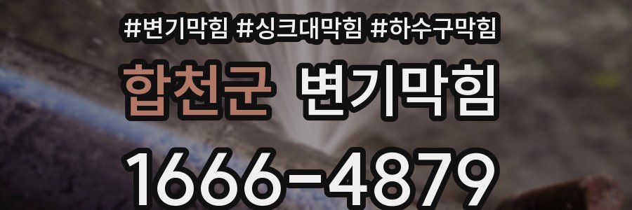 변기막힘