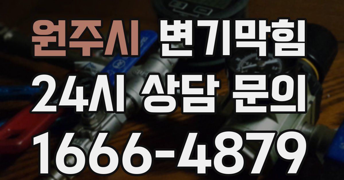 원주시 변기