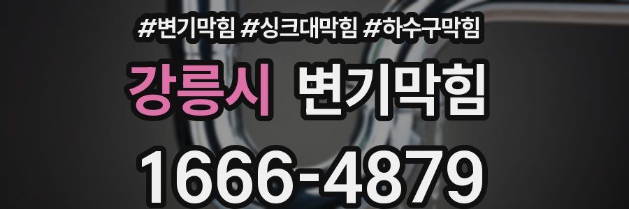 변기막힘