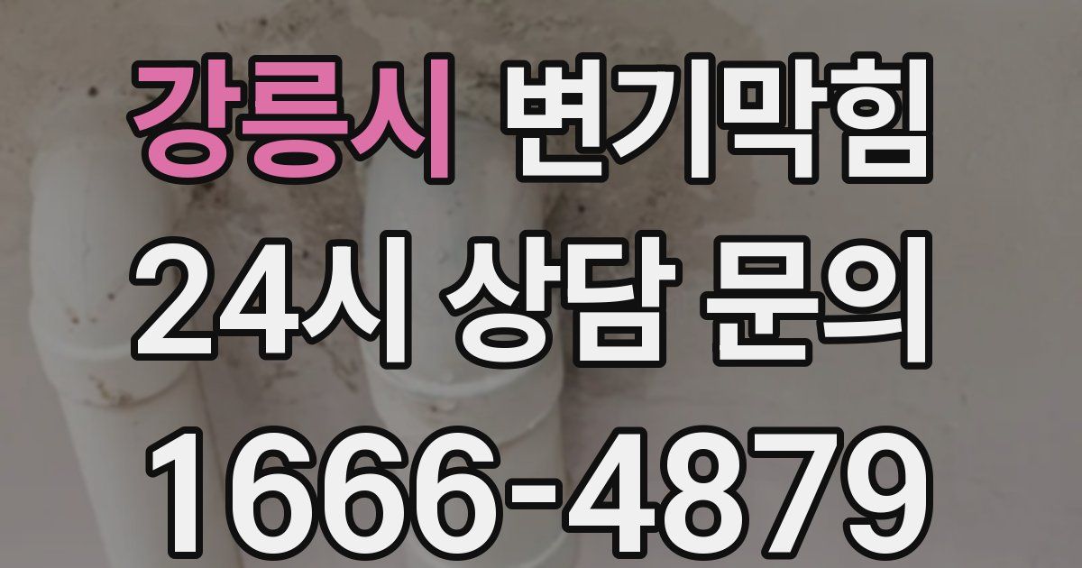 강릉시 변기