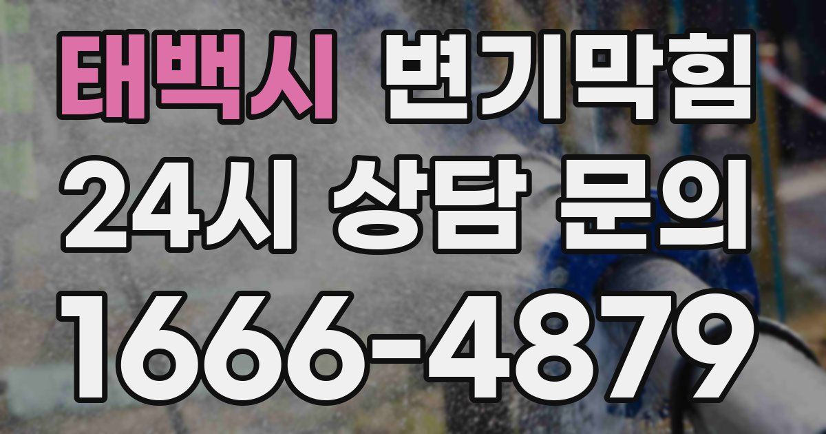 태백시 변기