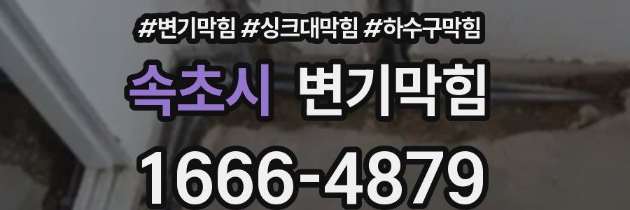 변기막힘