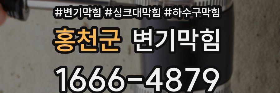 변기막힘