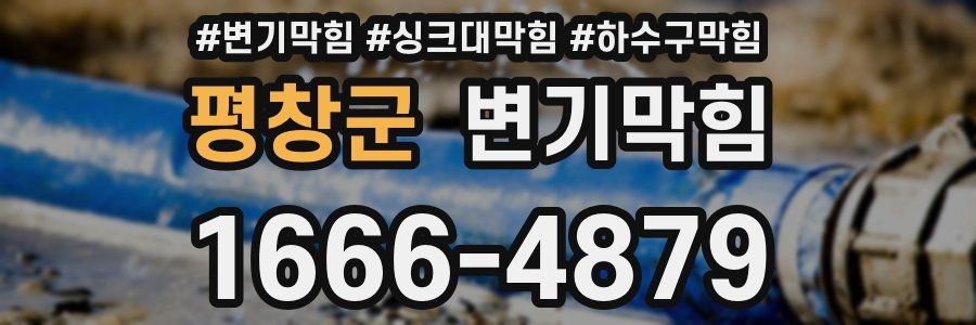 변기막힘