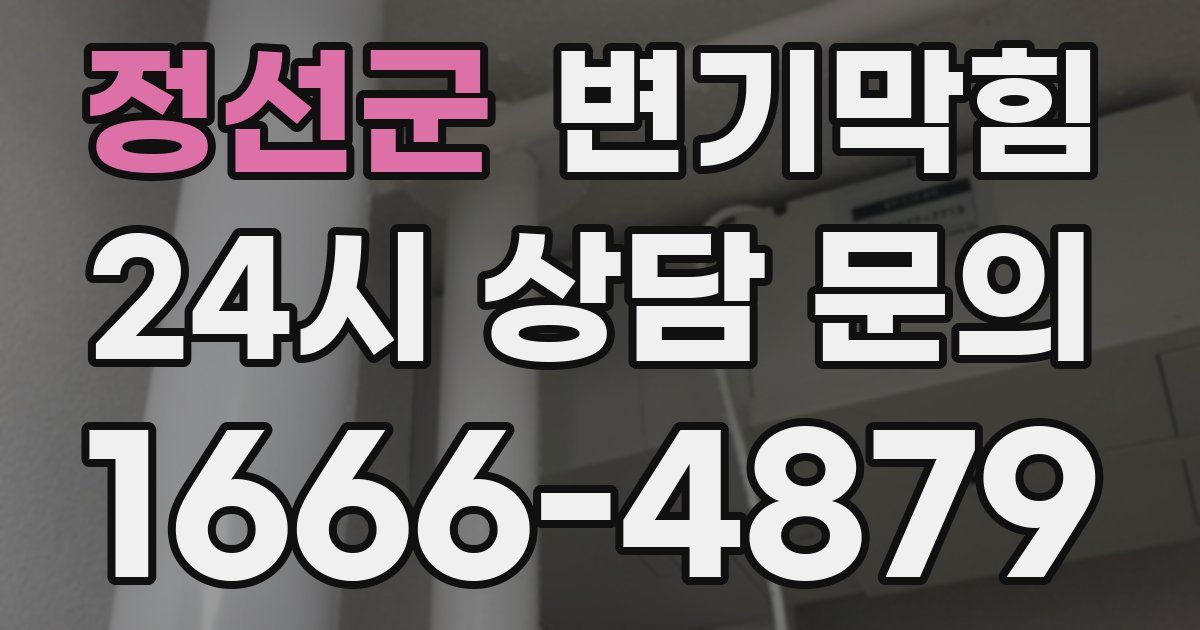 정선군 변기