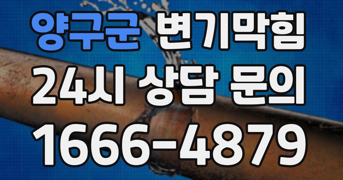 양구군 변기