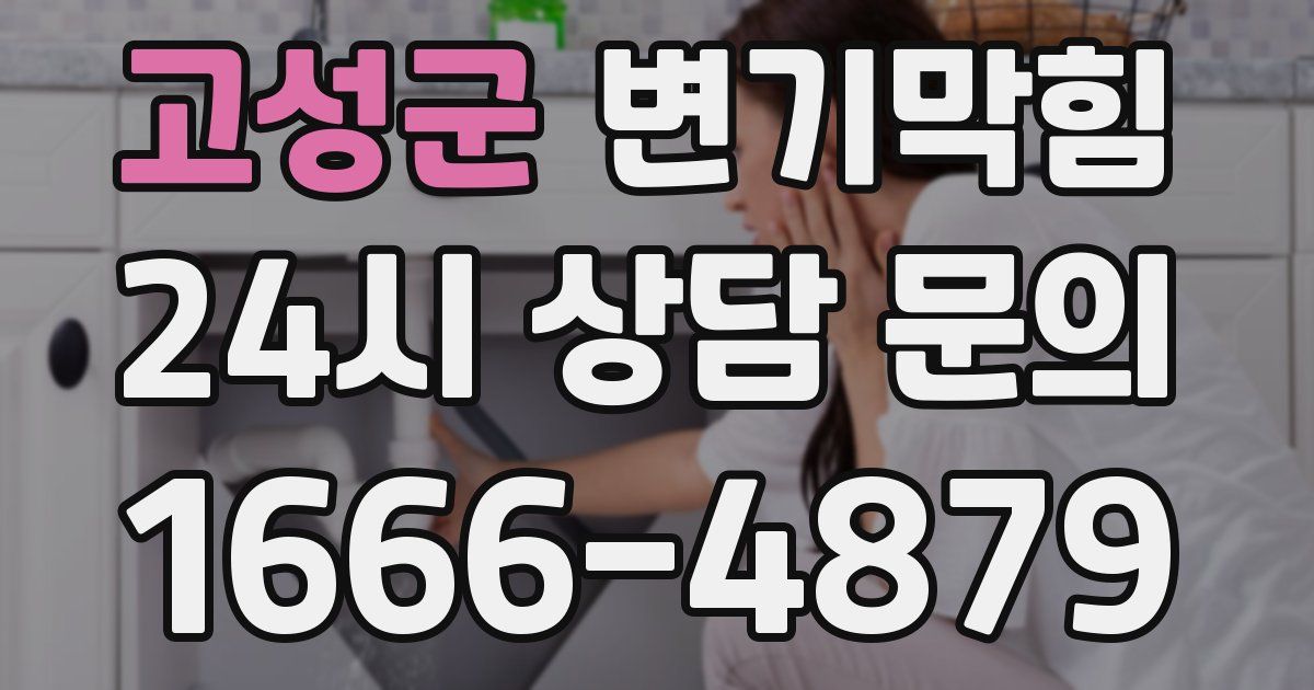 고성군 변기