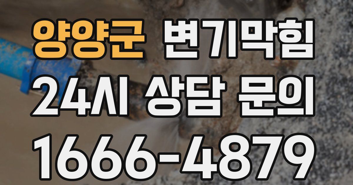 양양군 변기