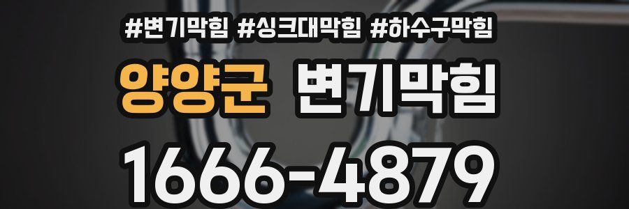 변기막힘