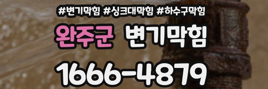 변기막힘
