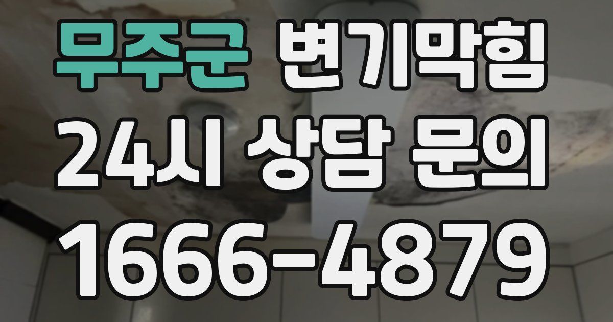 무주군 변기