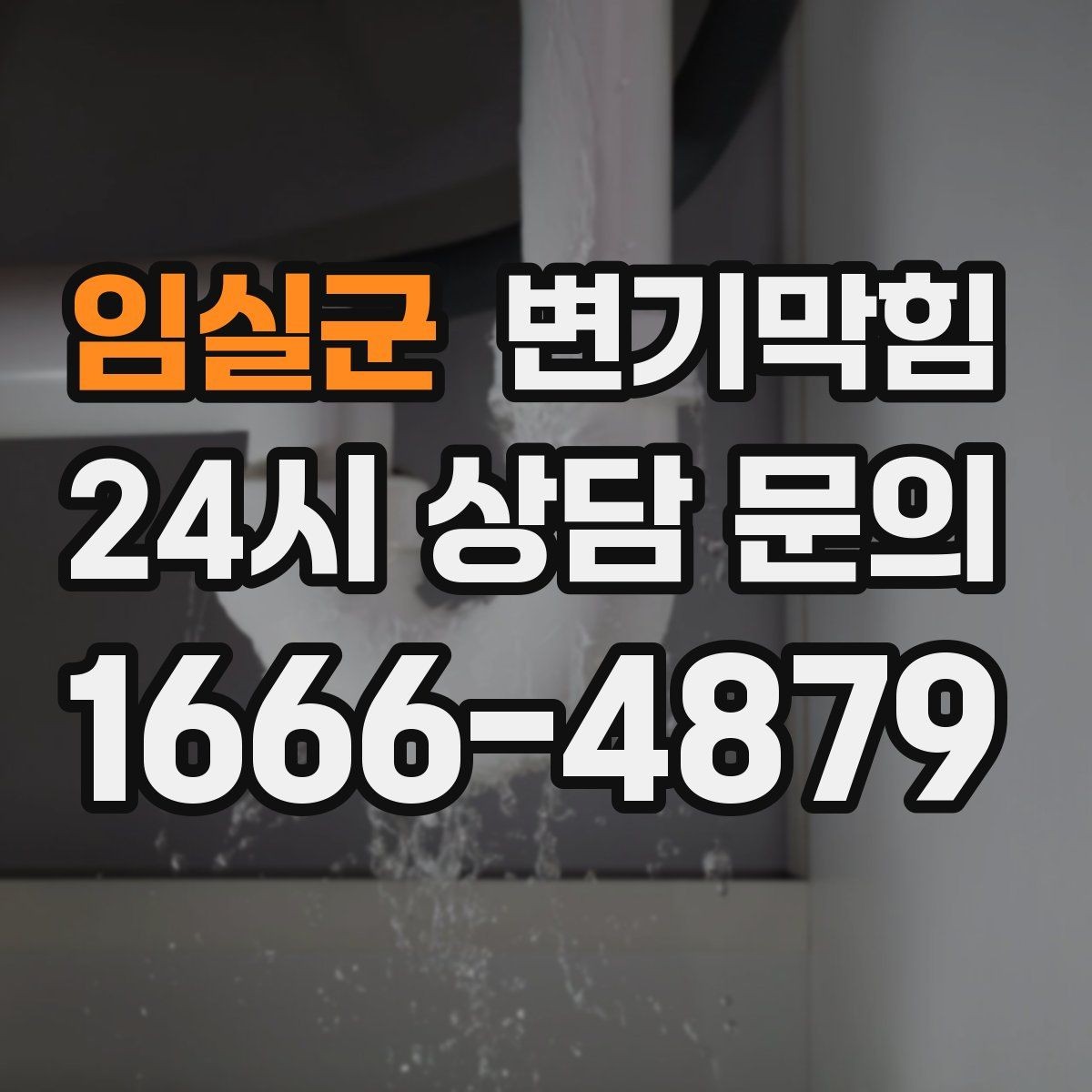임실군 변기막힘 변기 막혔을 때 물 내리기 전 체크
