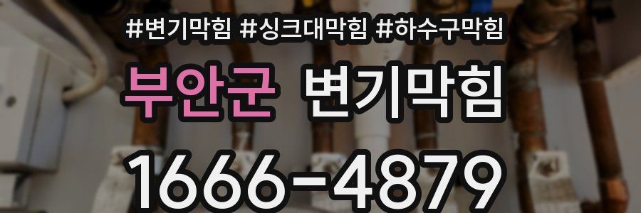 변기막힘