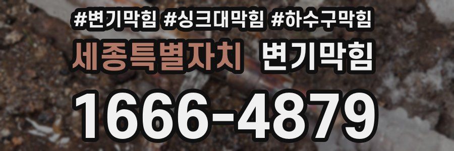 변기막힘