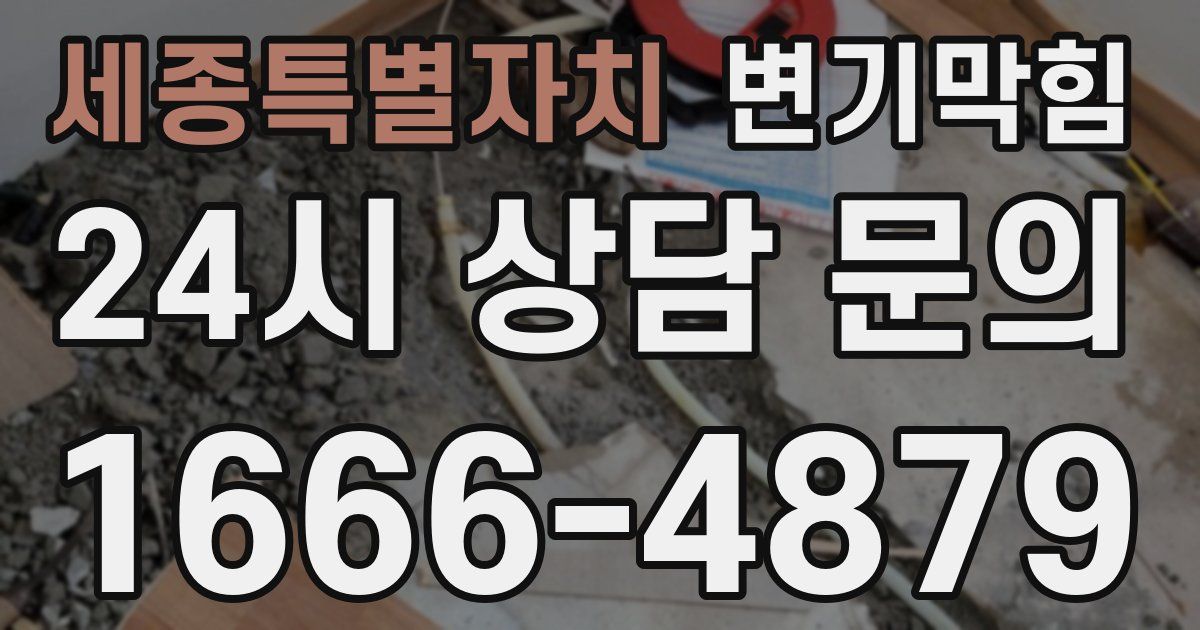 세종특별자치 변기