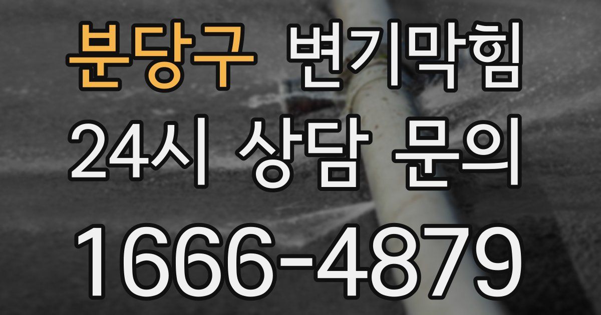 분당구 변기
