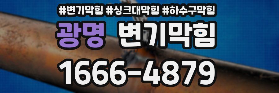 변기막힘