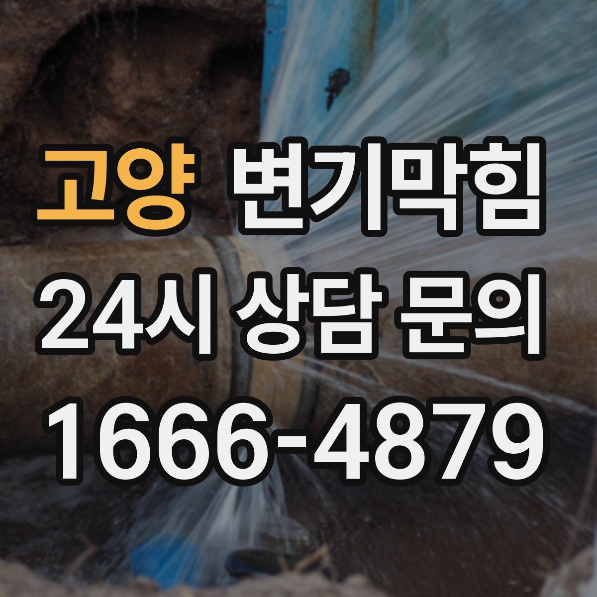 고양 변기막힘
