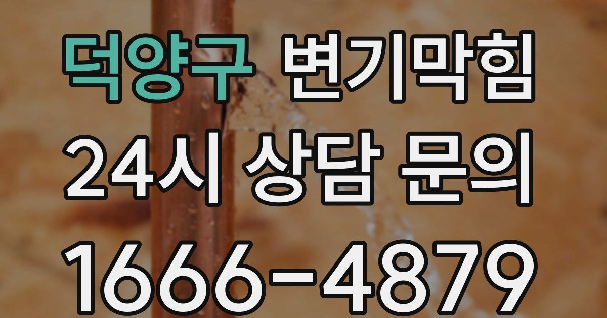 덕양구 변기