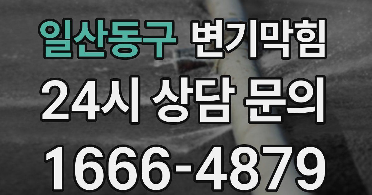 일산동구 변기