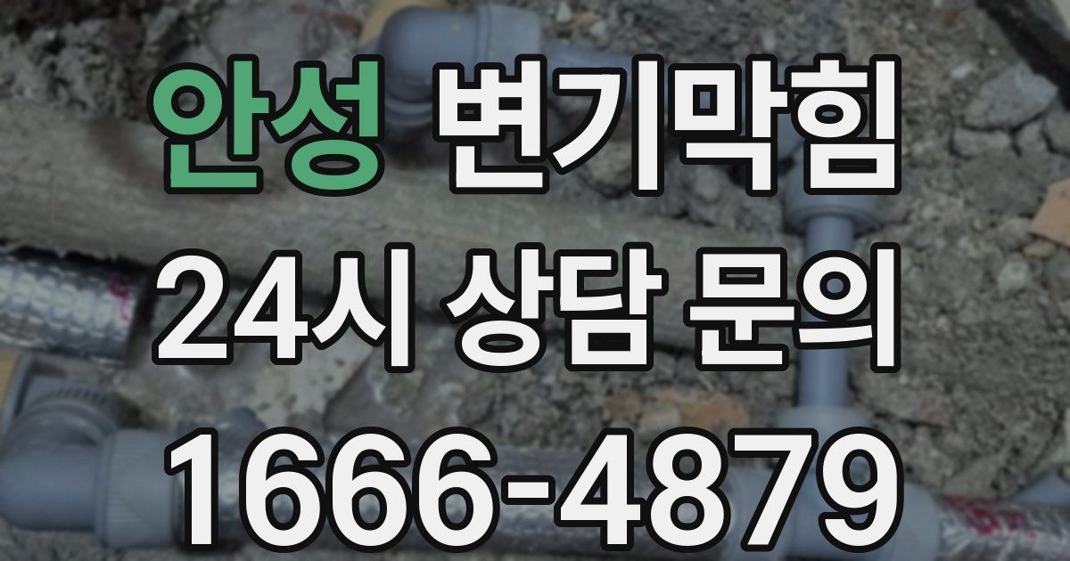 안성 변기