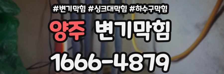 변기막힘