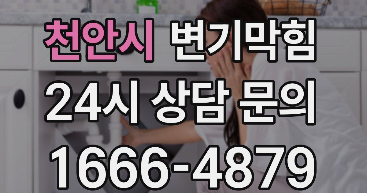 천안시 변기