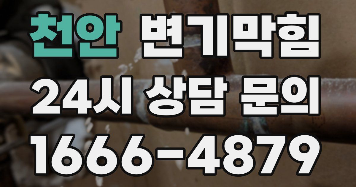 천안 변기