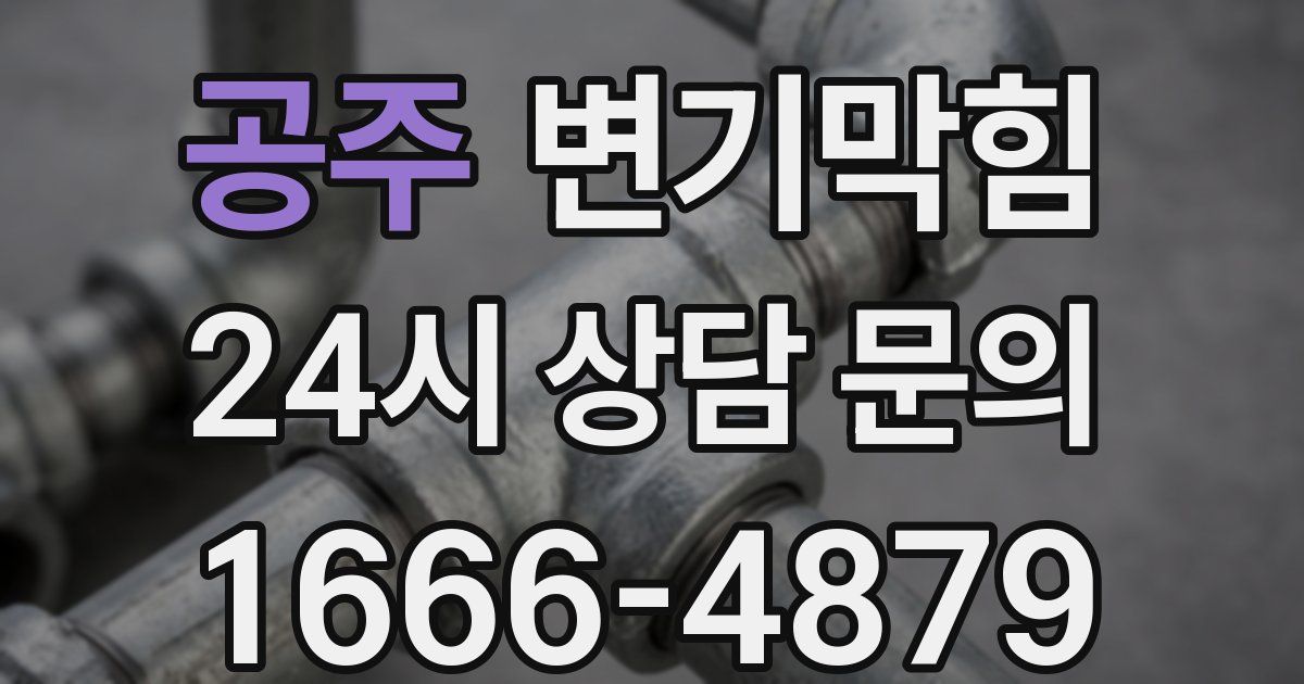공주 변기