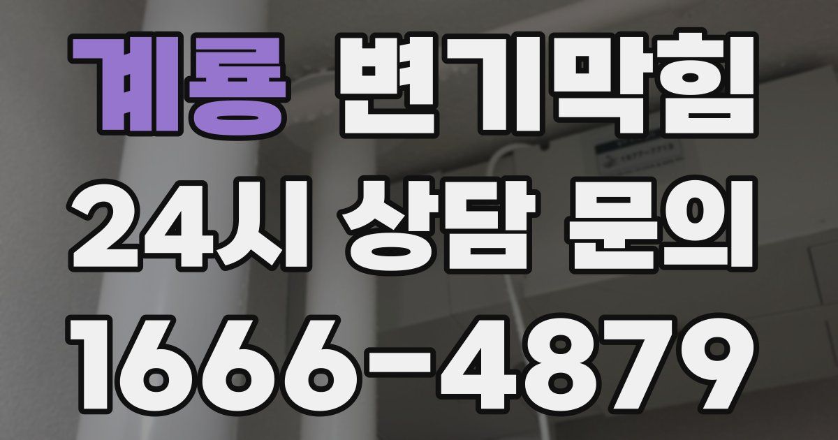 계룡 변기