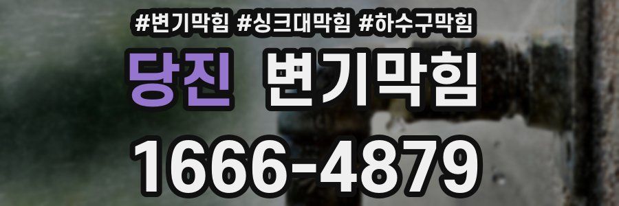 변기막힘