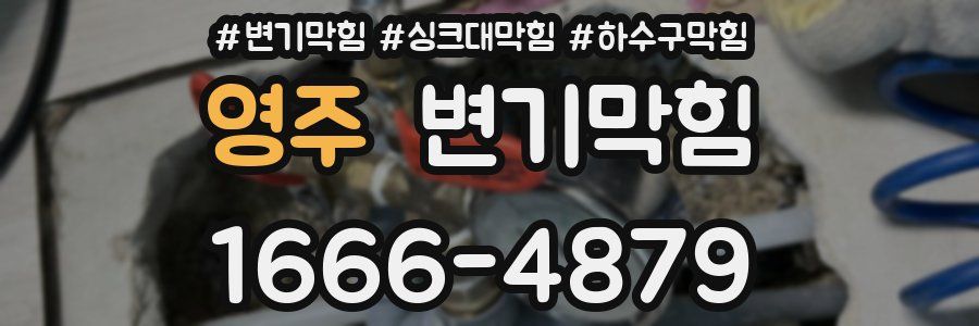 변기막힘