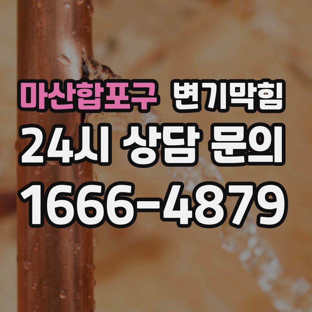 마산합포구 변기막힘