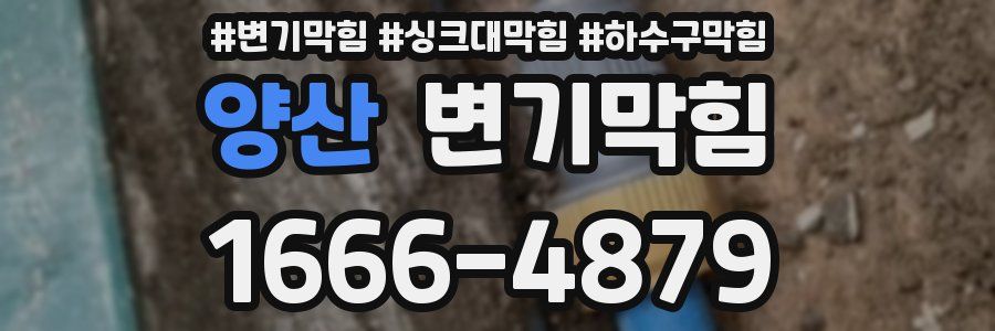 변기막힘