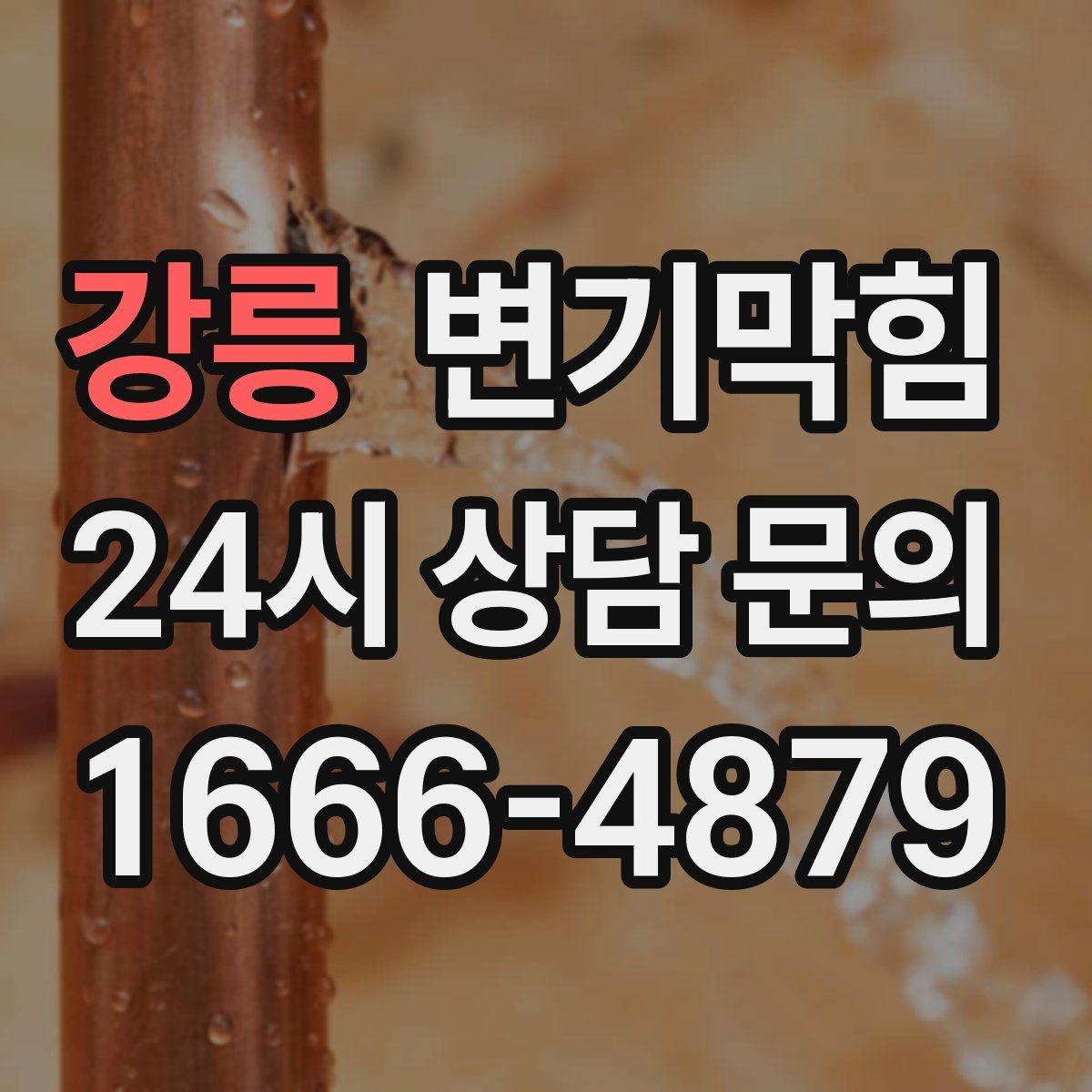 강릉 변기막힘 화장실 변기 막힘 간단 응급조치 정리