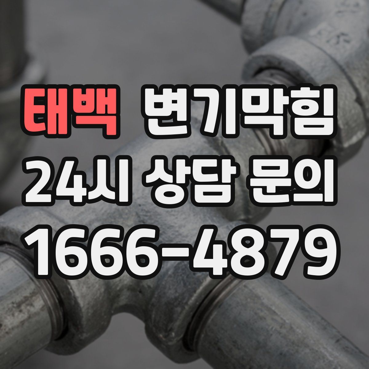 태백 변기막힘