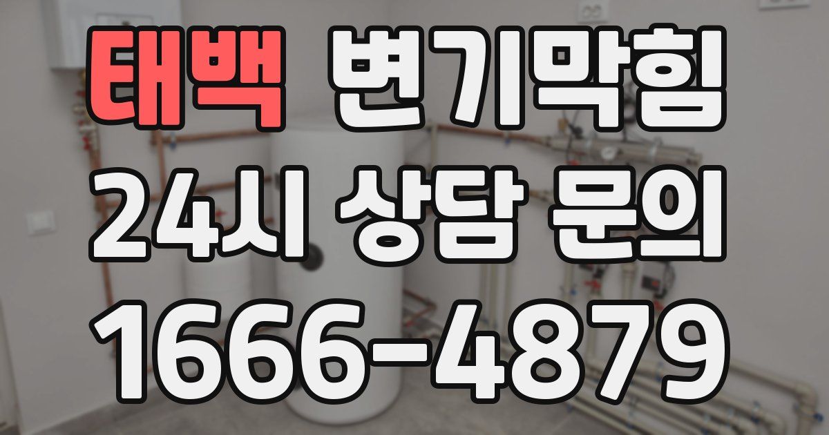 태백 변기