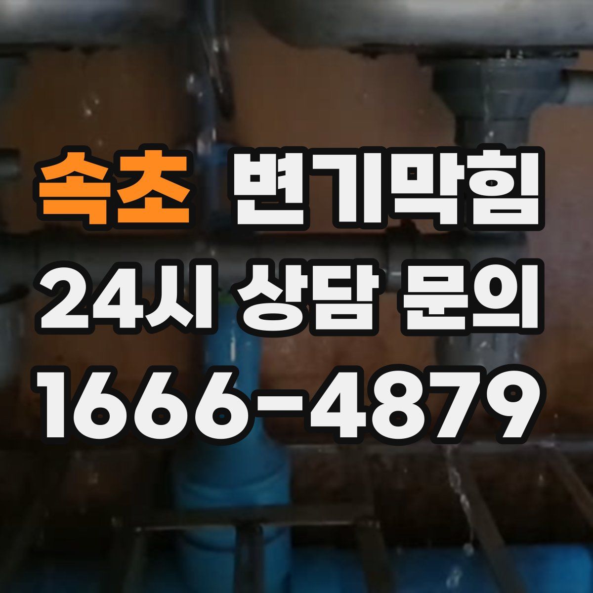 속초 변기막힘