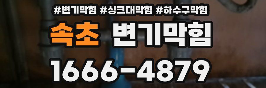변기막힘