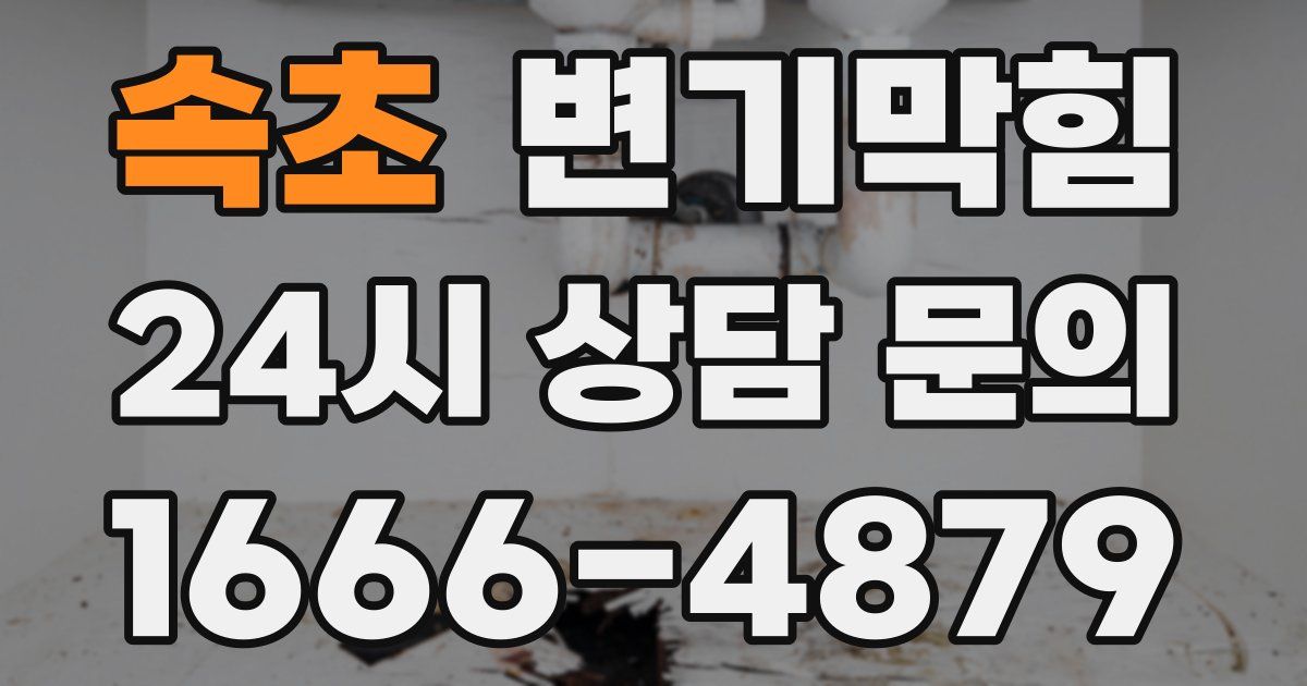 속초 변기